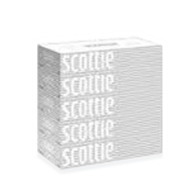【スコッティ（SCOTTIE）】200組×5箱
